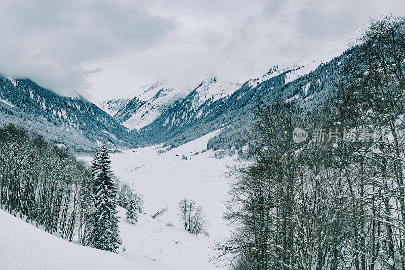 在白雪覆盖和冰冻的Speicher Durlassboden湖与松树和白雪覆盖的山脉